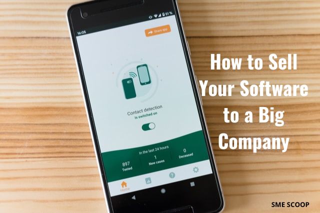 How to Sell Your Software to a Big Company
